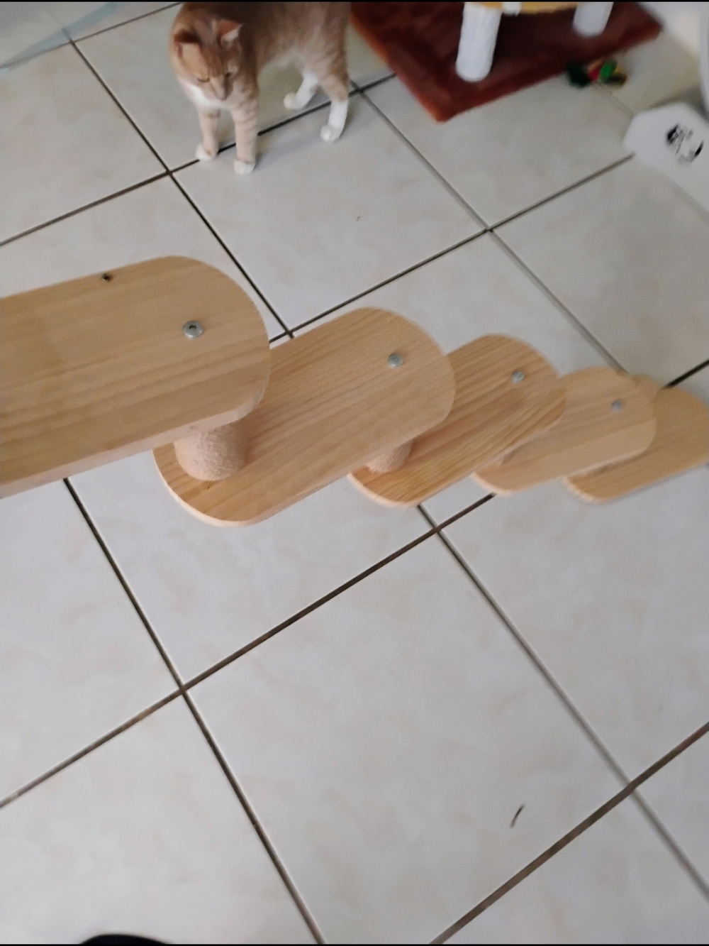 Wooden Cat Stepper Ramp - Light Natural Finish